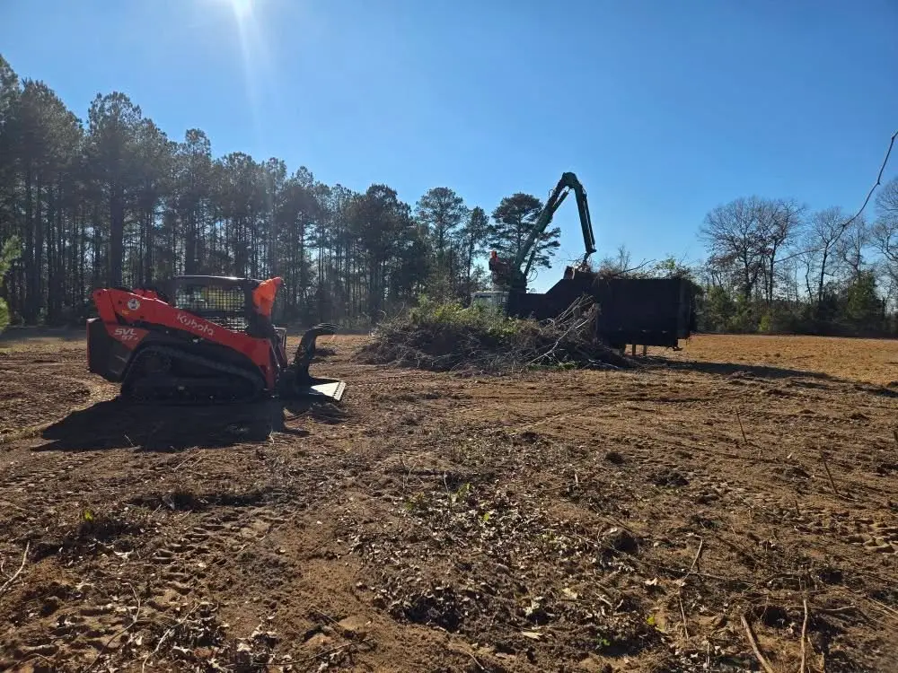 Land Clearing & Forestry Mulching – Skinners Tree